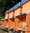40 Gläser Honig aus dem eigenen Garten? Ab Ende März Bienen bei Ihnen zu Hause