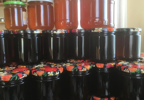 Honig 12 x 500g - zur Unterstützung unserer Resistenzucht gegen Bienenkrankheiten - zum Saisonende
