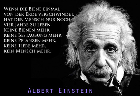 Einstein_sklein